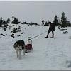 Dinooq Polen 2011 31